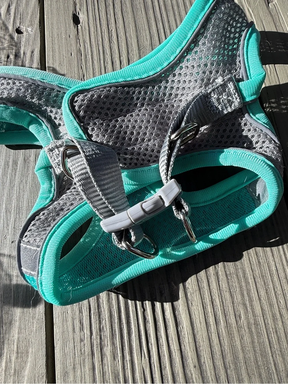 4 New Stimuli Cat Mesh Pet Harness with 2 Matching Leashes
